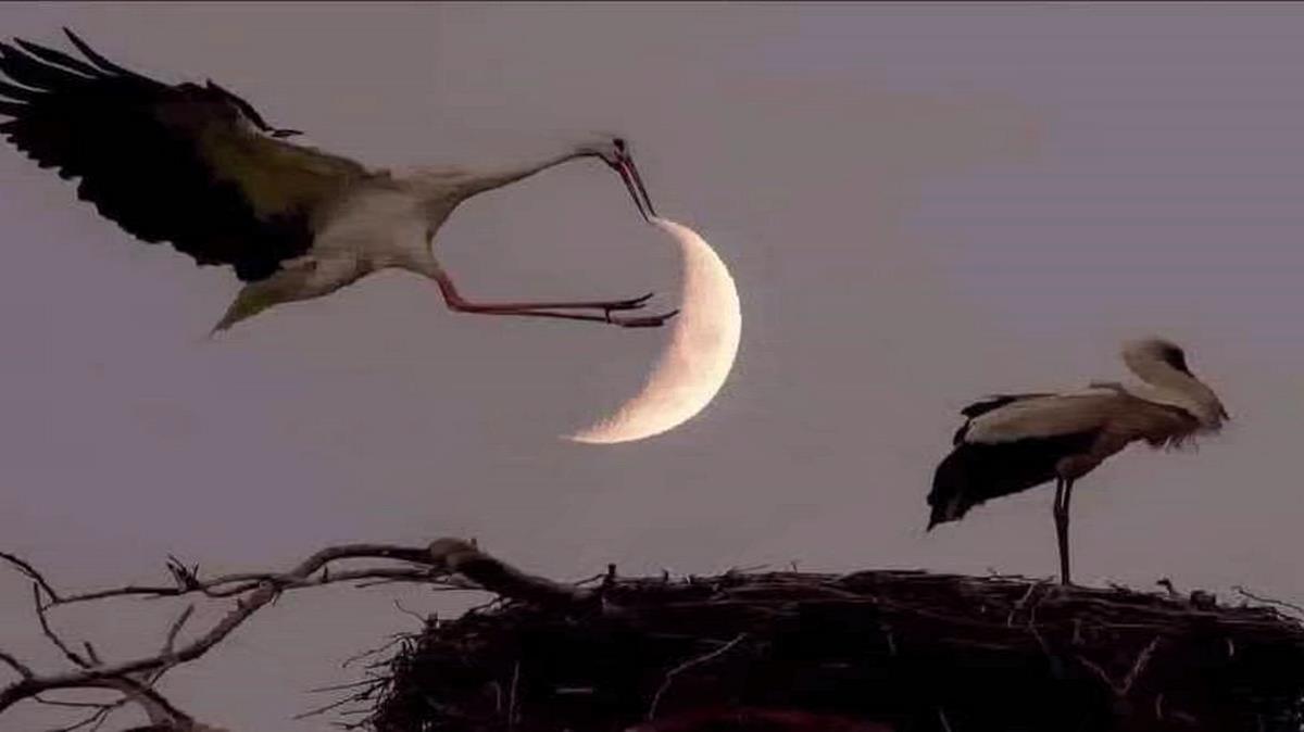 velet roman olur yazsam seni